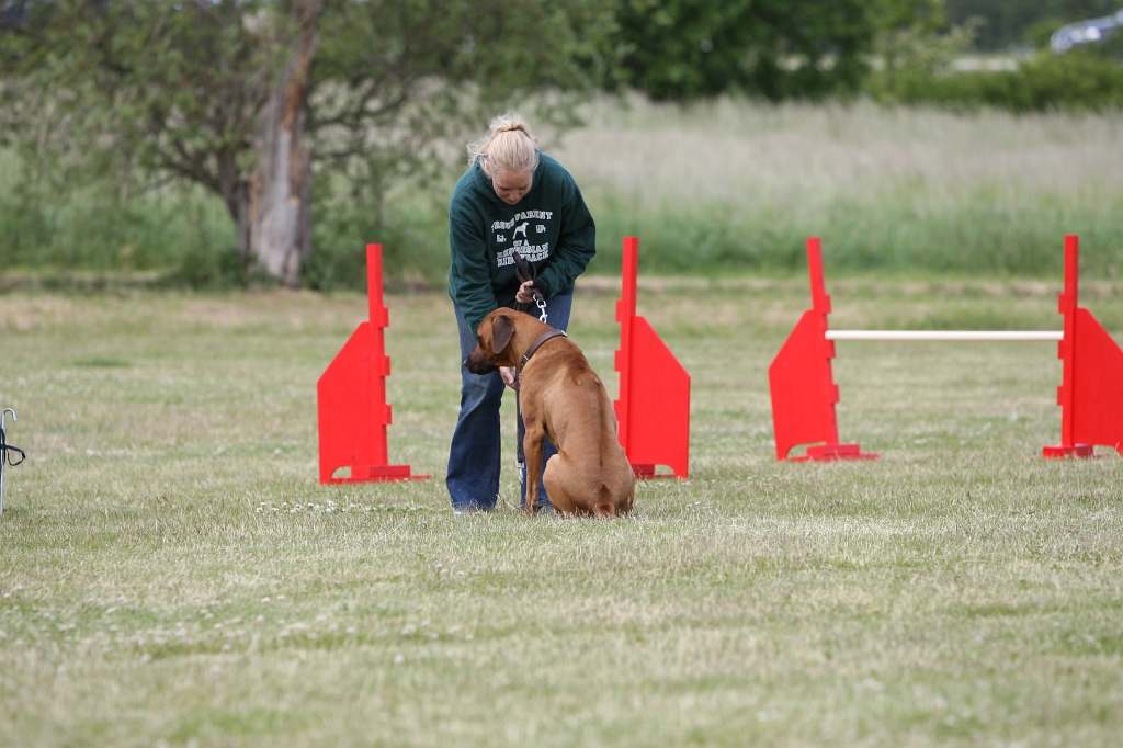 BFI_5124.JPG