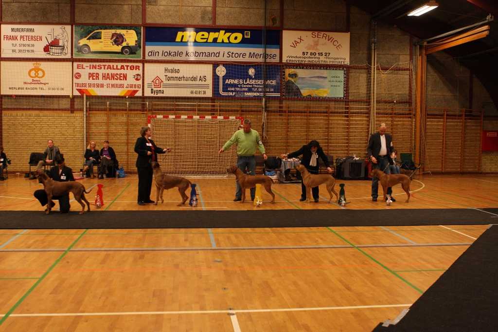 jule_udstilling190.JPG