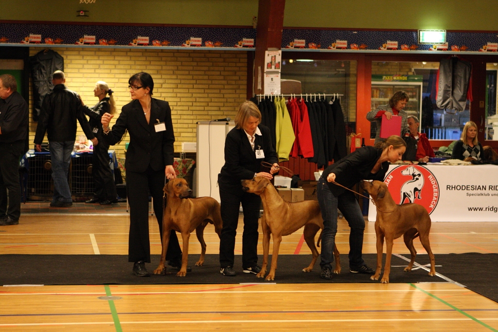 jule_udstilling224.JPG