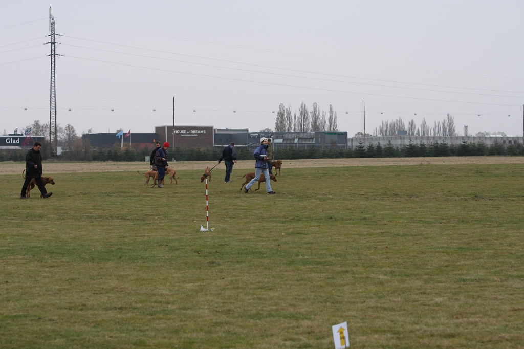 BFI_5205.JPG