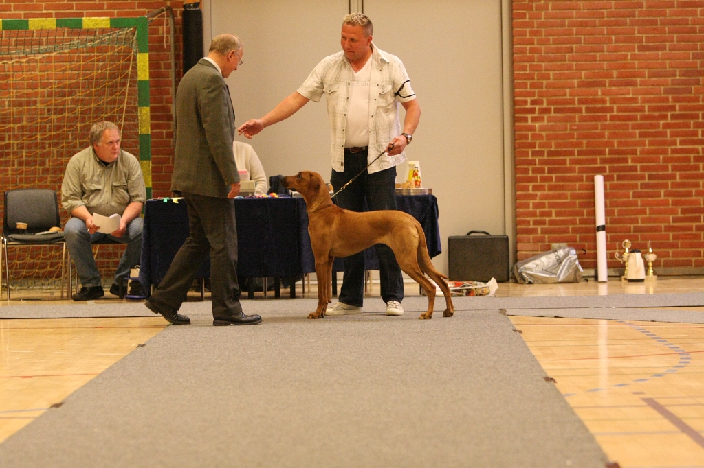 IMG_4550.JPG