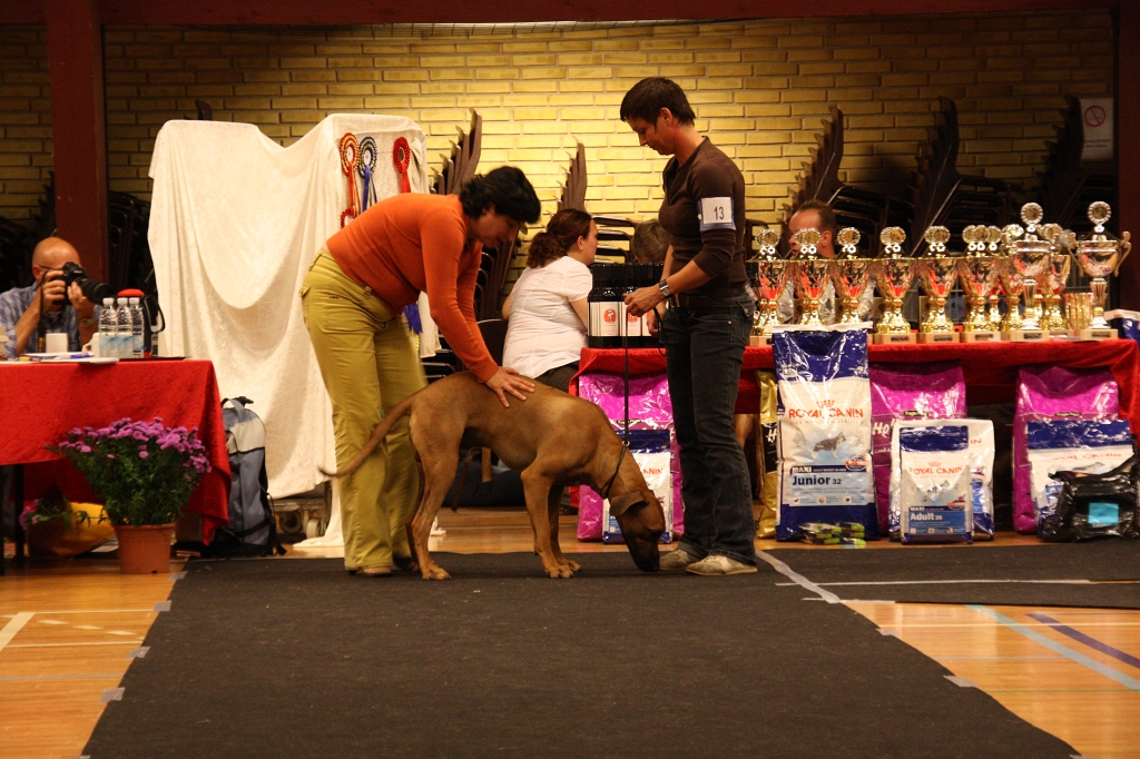 IMG_4153.JPG