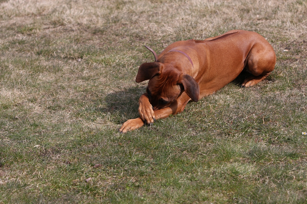 IMG_3397.JPG