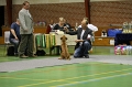 BFI_1537