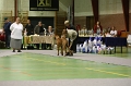 BFI_1734